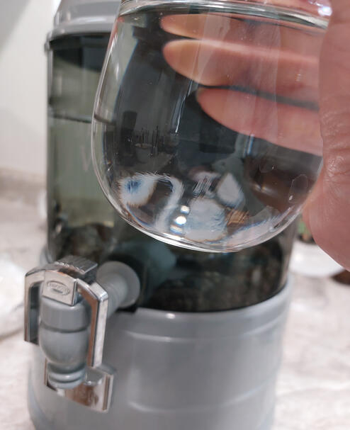 Agua viva
